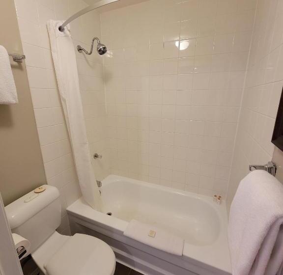 חדר סטנדרט עם מיטת קינג, The Georgetown Inn