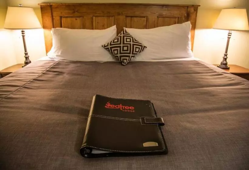 اتاق استاندارد با تخت بزرگ, Red Tree Lodge