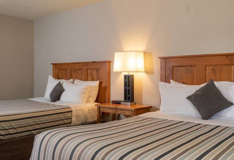 带2个双人床的标准工作室, Red Tree Lodge