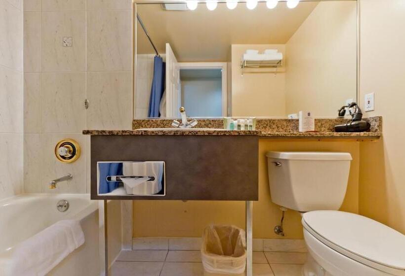 جناح ديلوكس, Rosedale On Robson Suite