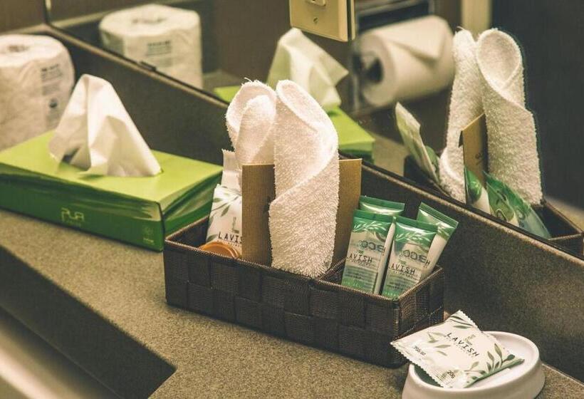 Standardzimmer 2 Doppelbetten, The Hotel On Pownal