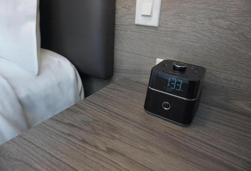 Standardzimmer, The Hotel On Pownal