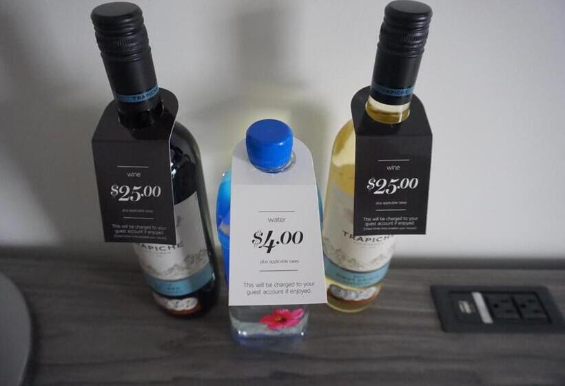 Standardzimmer, The Hotel On Pownal