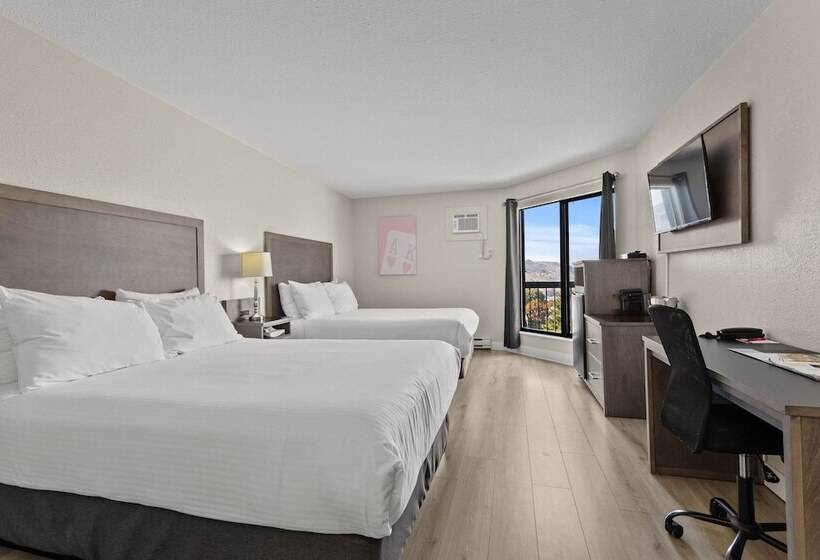 高级大房间, The Vista Inn