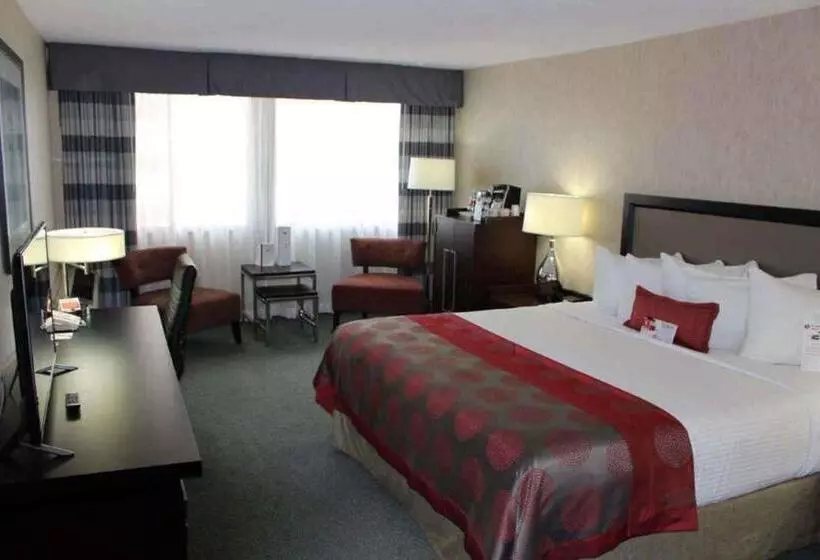 スタンダードルーム, Ramada Plaza By Wyndham Regina Downtown