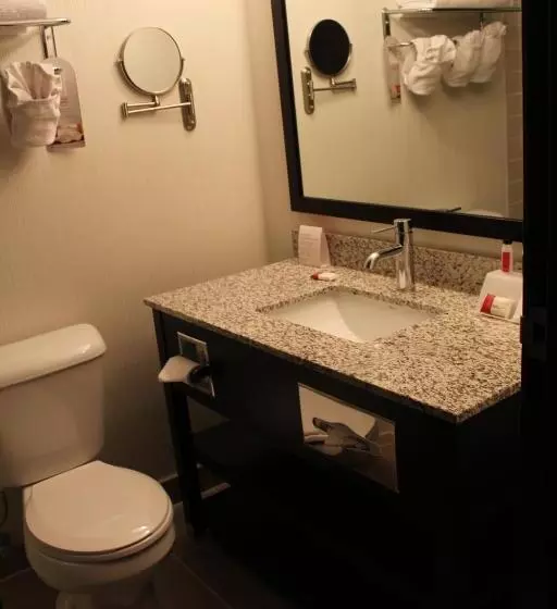 キングサイズベッドのエクゼクティブルーム, Ramada Plaza By Wyndham Regina Downtown