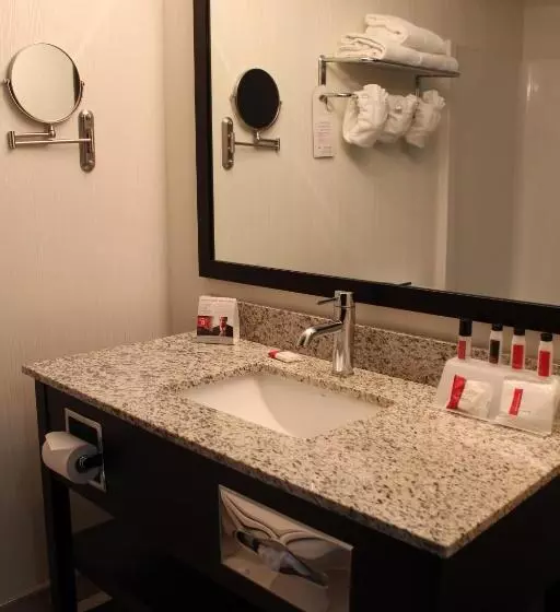 キングサイズベッドのエクゼクティブルーム, Ramada Plaza By Wyndham Regina Downtown
