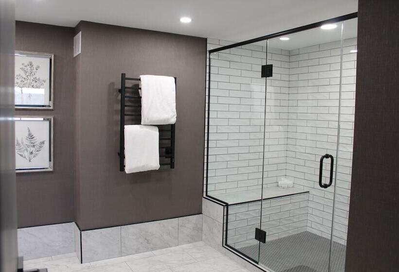 Пентхаус Люкс, Ramada Plaza By Wyndham Regina Downtown