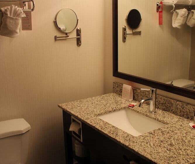 חדר סופריור, Ramada Plaza By Wyndham Regina Downtown