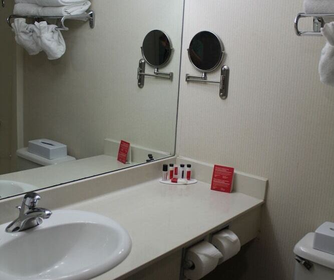 חדר ביזנס, Ramada Plaza By Wyndham Regina Downtown