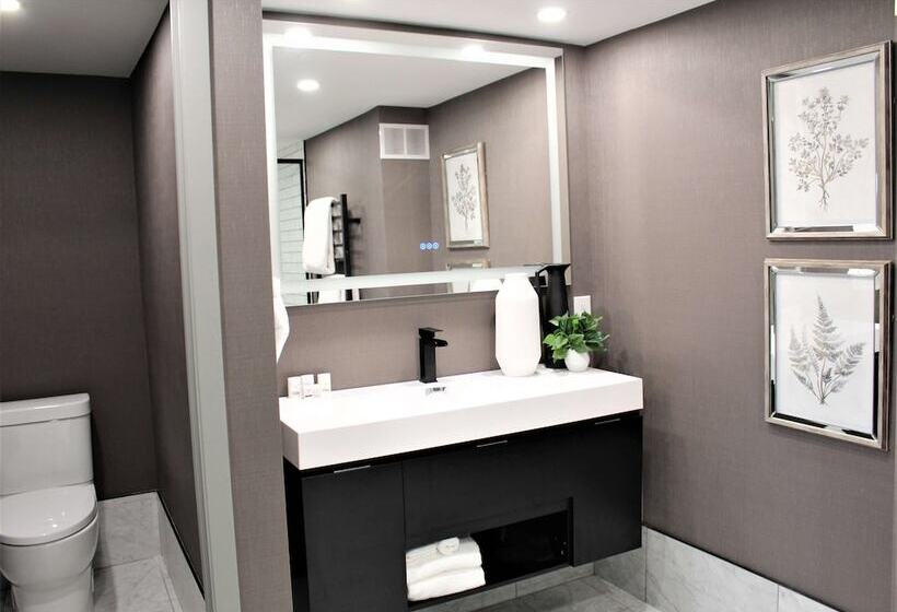 Люкс Премиум, Ramada Plaza By Wyndham Regina Downtown