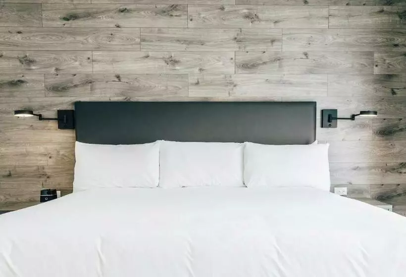 اتاق استاندارد با تخت بزرگ, The Hotel On Pownal