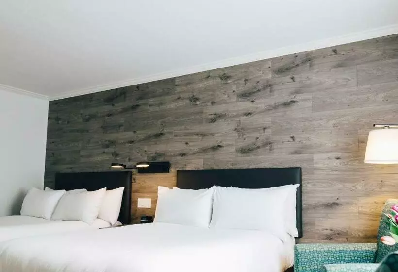 اتاق استاندارد با 2 تخت دوبل, The Hotel On Pownal