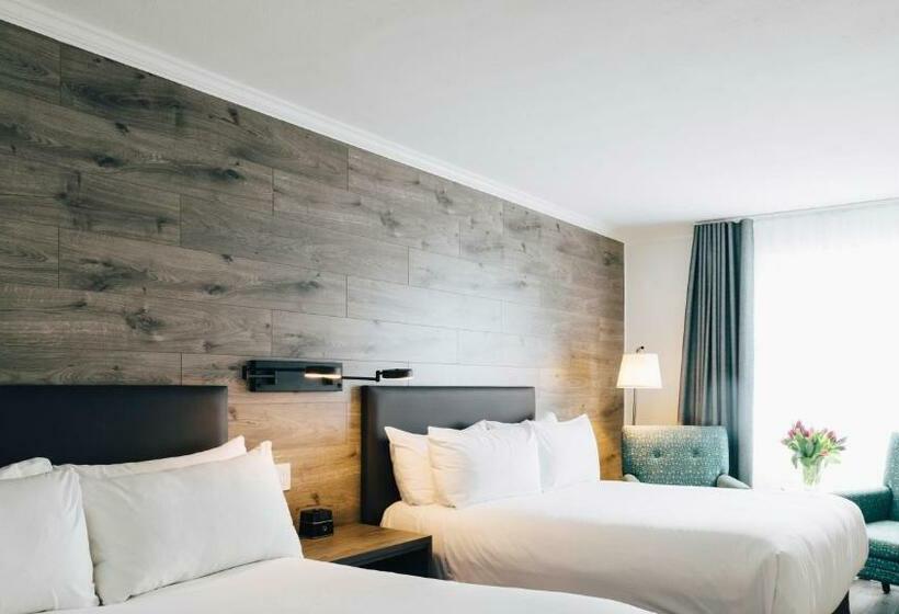 Standardzimmer 2 Doppelbetten, The Hotel On Pownal