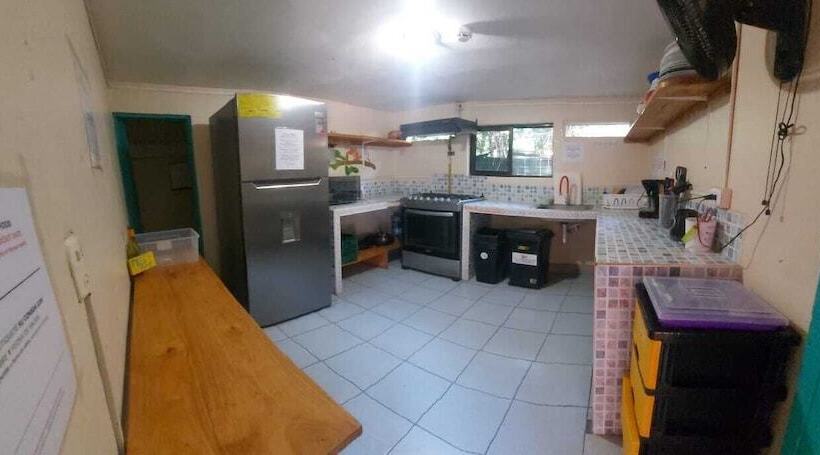 스탠다드 룸, Blue Iguana