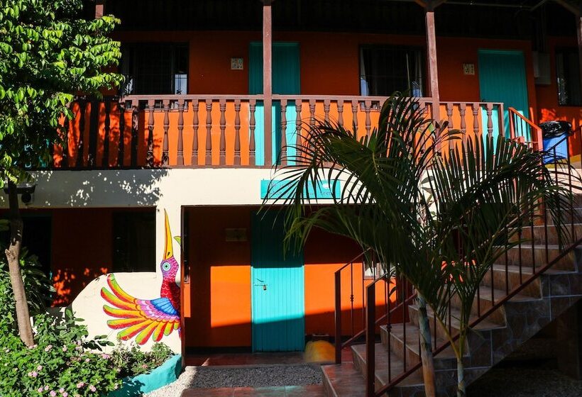 스탠다드 룸, Blue Iguana