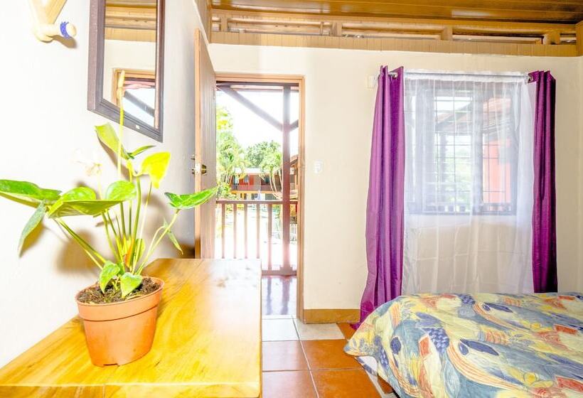 스탠다드 룸, Blue Iguana