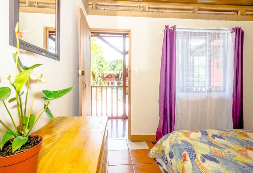 스탠다드 룸, Blue Iguana