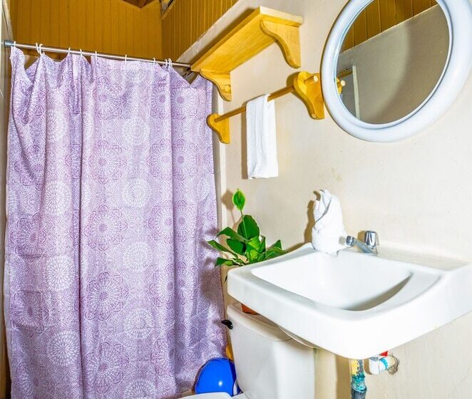 패밀리 룸, Blue Iguana