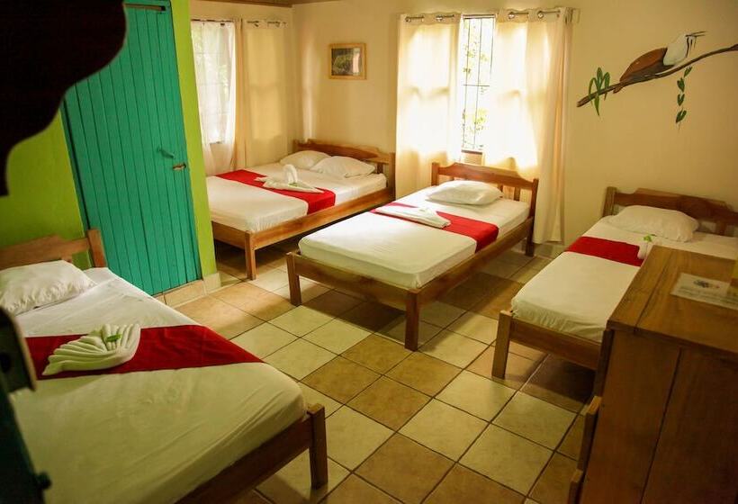 패밀리 룸, Blue Iguana