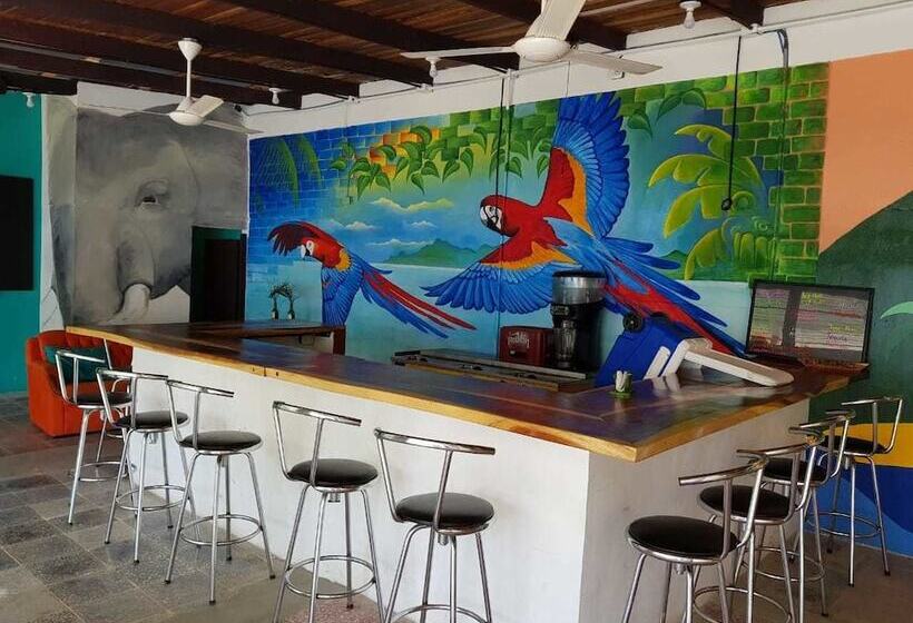 패밀리 룸, Blue Iguana