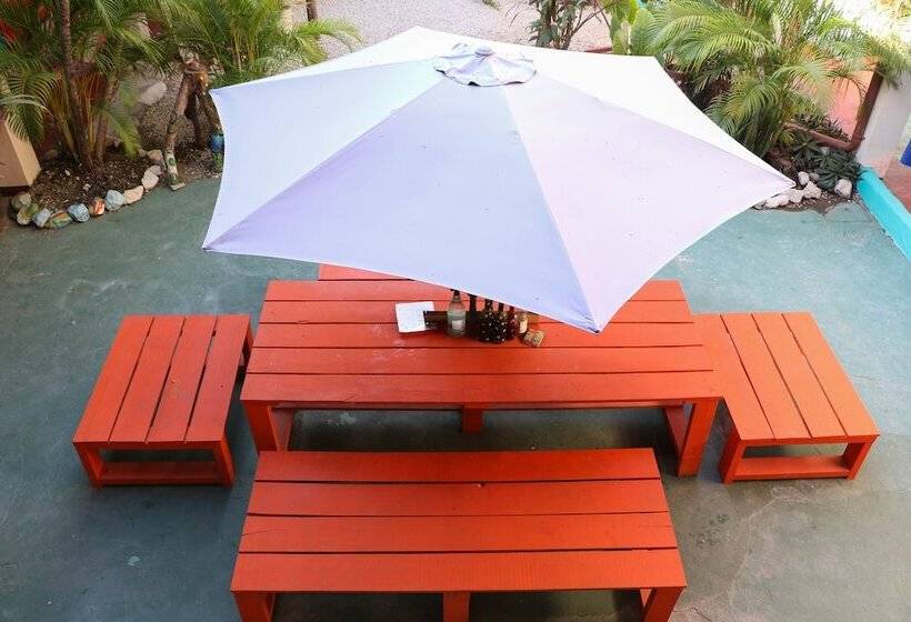 패밀리 룸, Blue Iguana