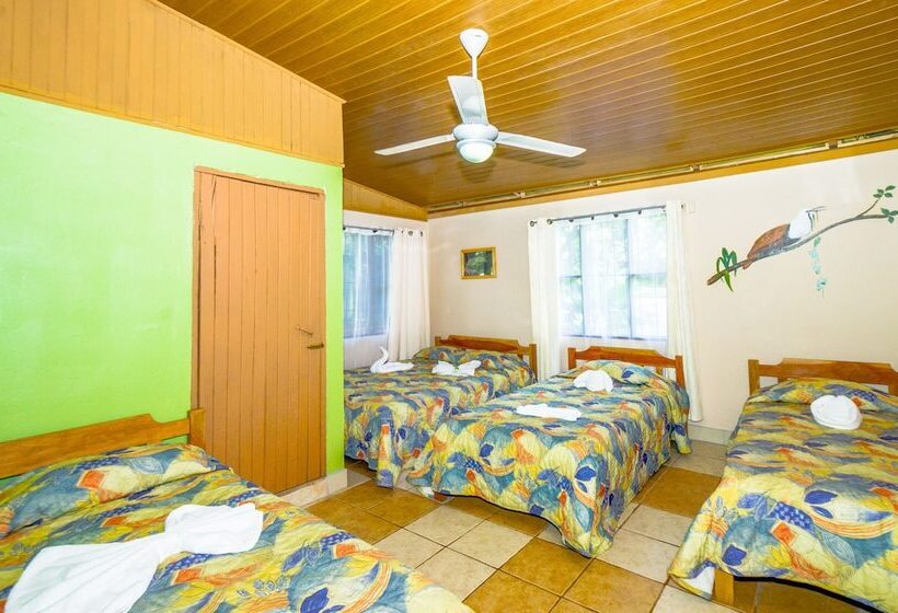 패밀리 룸, Blue Iguana