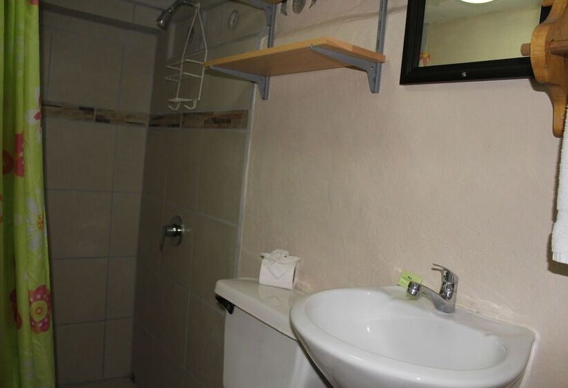 컴포트 트리플 룸, Blue Iguana