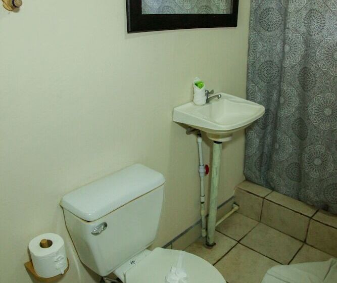 컴포트 트리플 룸, Blue Iguana