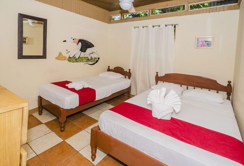 컴포트 트리플 룸, Blue Iguana