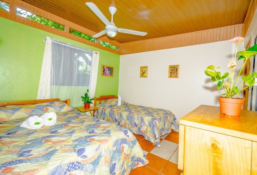 컴포트 트리플 룸, Blue Iguana