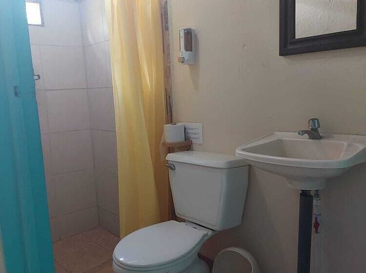 스탠다드 룸, Blue Iguana