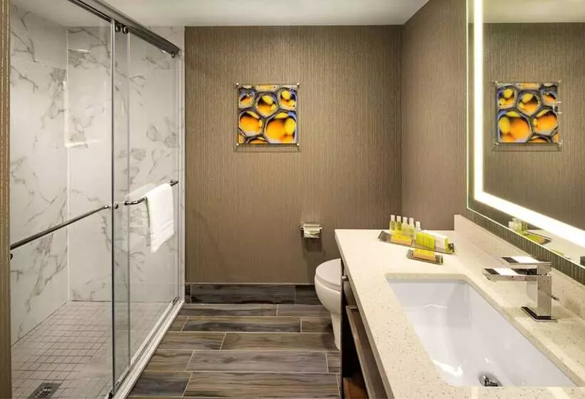 اتاق استاندارد با 2 تخت دوبل, Doubletree By Hilton Toronto Airport