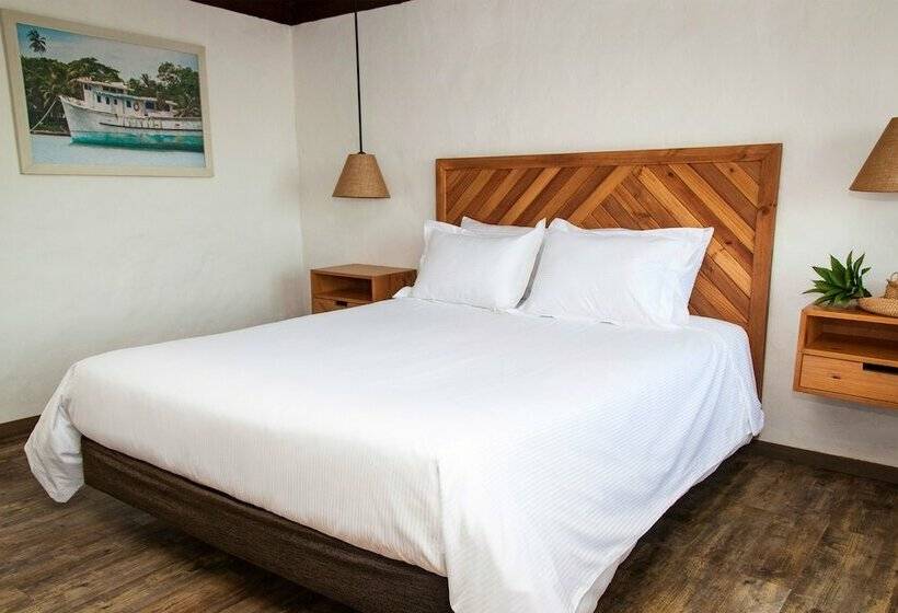 标准单人间, Sol Caribe Campo