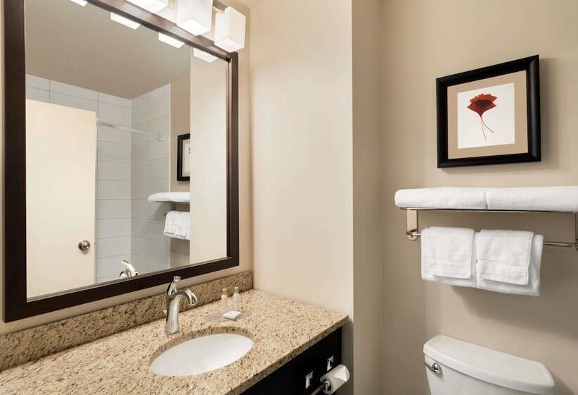 סוויטה, Travelodge Hotel By Wyndham Weyburn