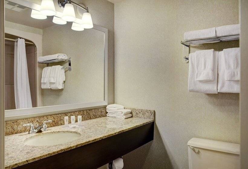 غرفه قياسيه سريرين مزدوجين, Travelway Inn Sudbury