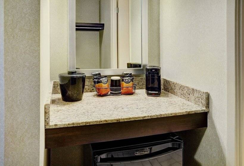 غرفه قياسيه سريرين مزدوجين, Travelway Inn Sudbury