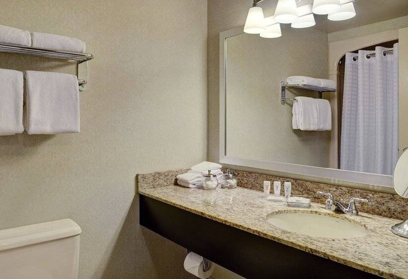 غرفه قياسيه سريرين مزدوجين, Travelway Inn Sudbury