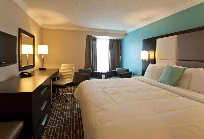 带大床的标准间, Visitor S Inn