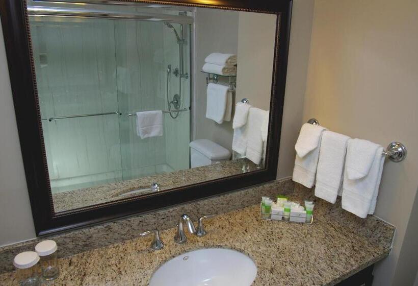 استودیو استاندارد با تخت کینگ, Visitor S Inn