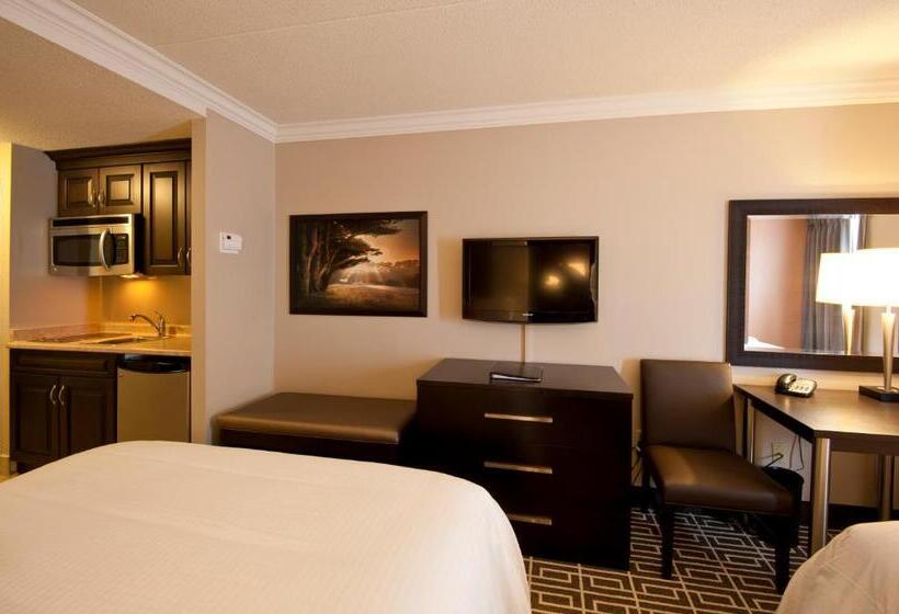 带大床的标准工作室, Visitor S Inn