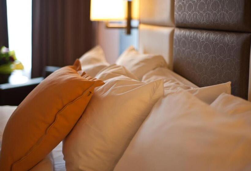 带大床的标准工作室, Visitor S Inn