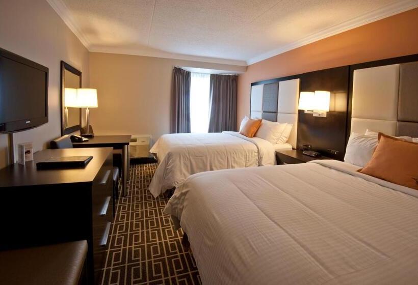 标准工作室, Visitor S Inn