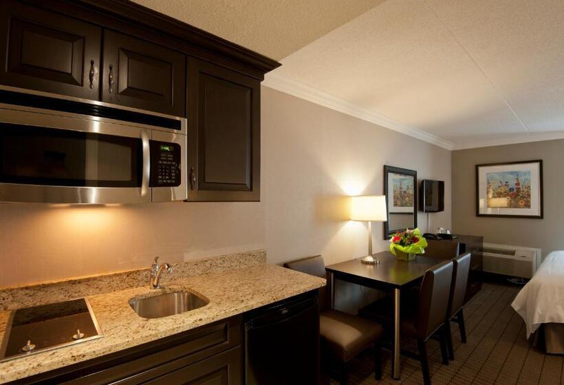 家庭套房, Visitor S Inn