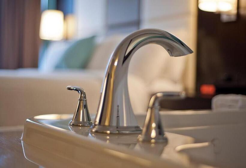 带按摩功能的小型套房, Visitor S Inn