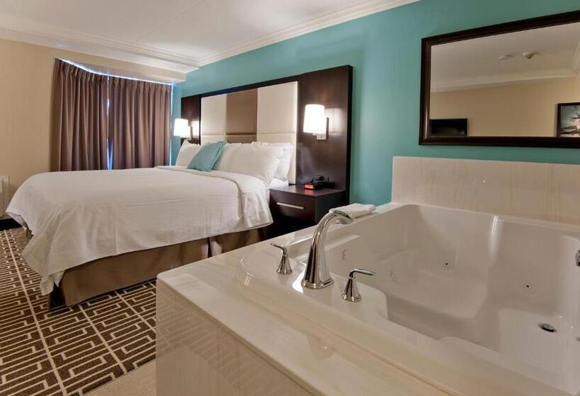 سوئیت جونیور با ماساژ آبی, Visitor S Inn