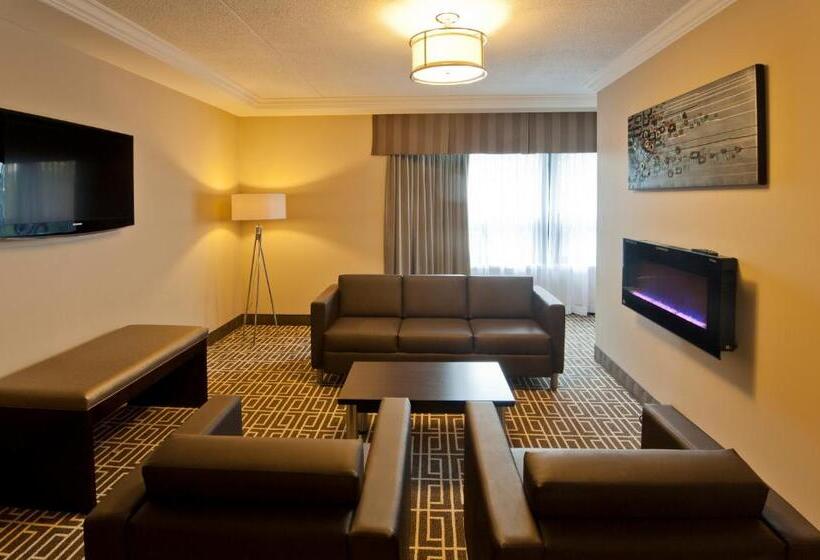 高级套房, Visitor S Inn