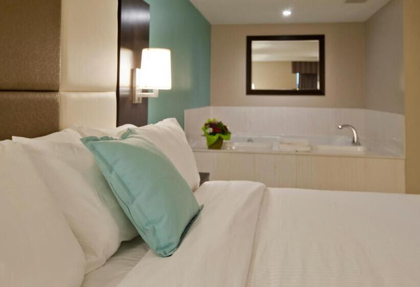 高级套房, Visitor S Inn