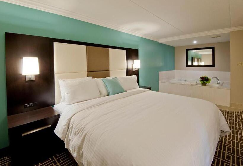 高级套房, Visitor S Inn