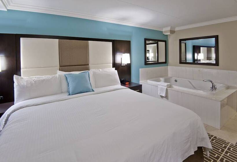 带按摩功能的小型套房, Visitor S Inn